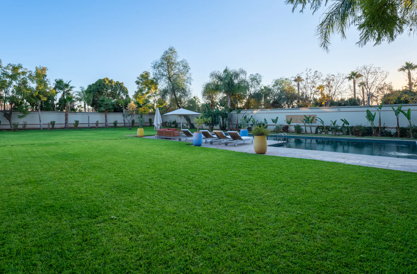 Swimming pool beside a wide green lawn lined with palm trees