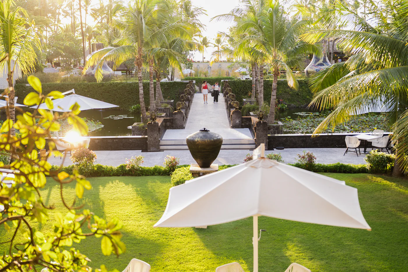 Palm-shaded resort garden with a lily pond and shaded seating