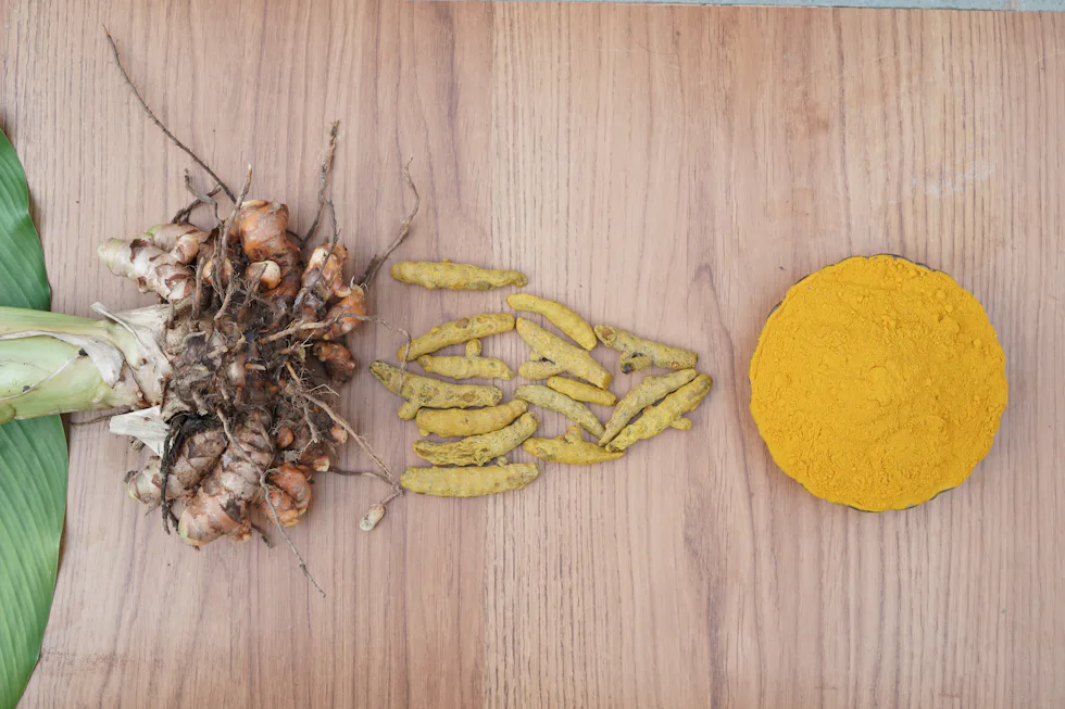 Fresh turmeric root, dried pieces and ground powder